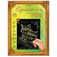 Гравюра Лапландия Енот 37658