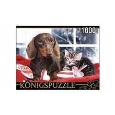 Пазл Рыжий кот Konigspuzzle