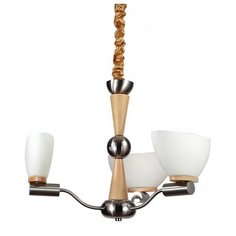 Lucia Tucci Natura 150.3