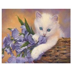 Molly Картина по номерам