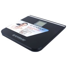 Весы ENDEVER FS-540