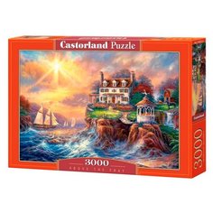 Пазл Castorland Above the Fray