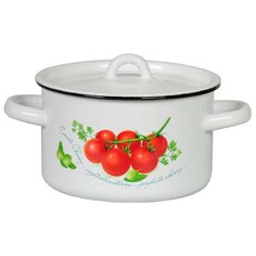 Кастрюля СтальЭмаль 1С17С 45 л