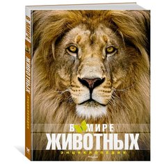 В мире животных Machaon