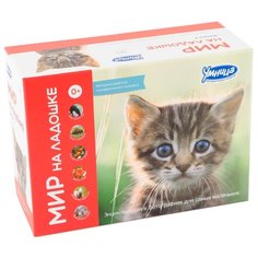 Набор карточек Умница Мир на