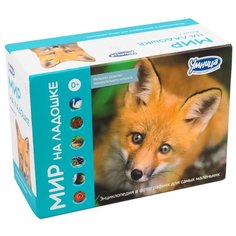 Набор карточек Умница Мир на