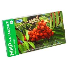 Набор карточек Умница Мир на