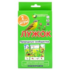 Набор карточек Айрис-Пресс