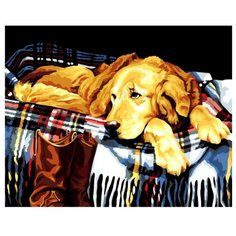 Цветной Картина по номерам