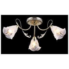 Natali Kovaltseva 11445 3C