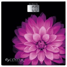 Весы CENTEK CT-2417