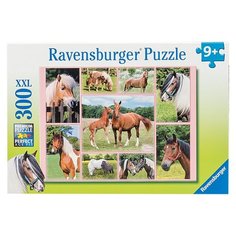 Пазл Ravensburger XXL Галерея