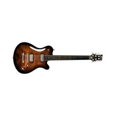 Электрогитара Framus Panthera