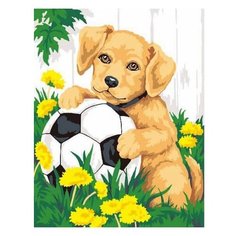 Dimensions Картина по номерам