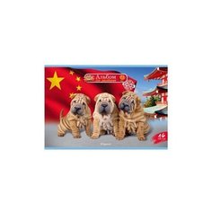 Альбом для рисования BG World