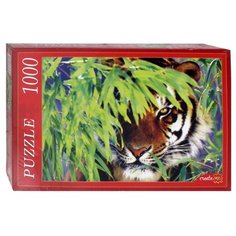 Пазл Рыжий кот Затаившийся тигр