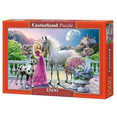 Пазл Castorland My Friend