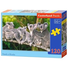Пазл Castorland Family of
