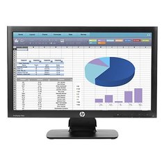 Монитор HP ProDisplay P202