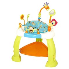 Интерактивная развивающая Bright Starts