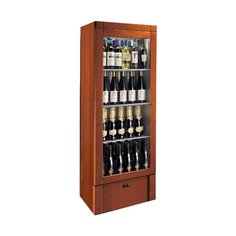 Винный шкаф Enofrigo Easy Wine