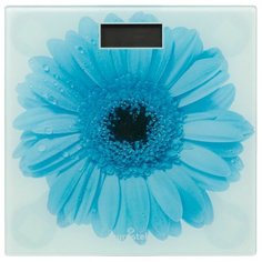 Весы Eurostek EBS-3006