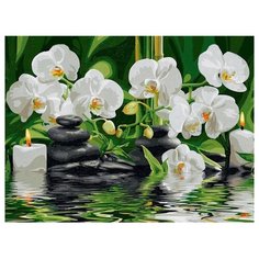 Paintboy Картина по номерам