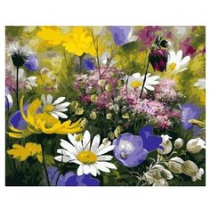 Paintboy Картина по номерам