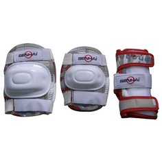 Комплект защиты Action PWM-302 Action!