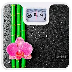 Весы Energy ENM-409D