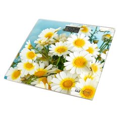 Весы Home Element HE-SC906