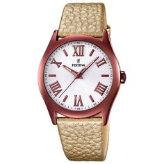 Наручные часы Festina F16649 6