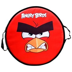 Ледянка 1 TOY Angry birds Т58162