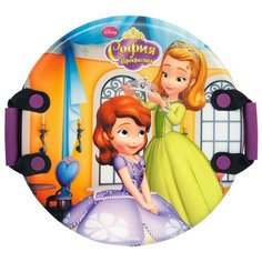 Ледянка 1 TOY София Т57206