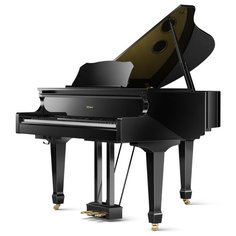 Цифровое пианино Roland GP609