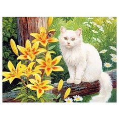 Color Kit Картина по номерам