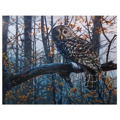 Dimensions Картина по номерам