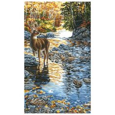 Dimensions Картина по номерам