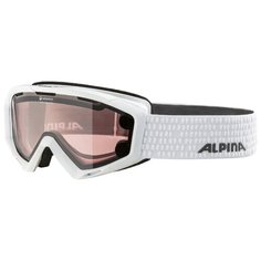 Маска Alpina Panoma Magnetic S QL
