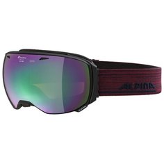 Маска Alpina Big Horn MM