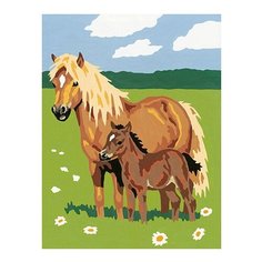 Molly Картина по номерам С