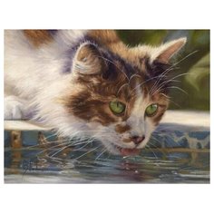 Рыжий кот Картина по номерам
