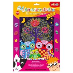 Дрофа-Медиа 3D-аппликация Совы