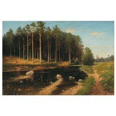 Molly Картина по номерам