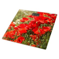 Весы Home Element HE-SC906 Red