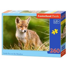 Пазл Castorland Little Fox on