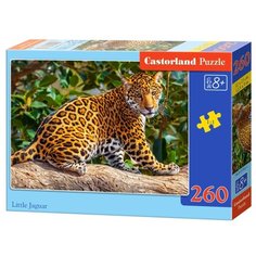 Пазл Castorland Little Jaguar