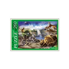 Пазл Рыжий кот Animal Чудесный