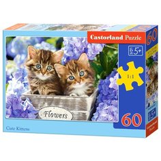 Пазл Castorland Cute Kittens