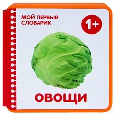 Краснушкина Е.Е. Мой первый Мозаика Синтез